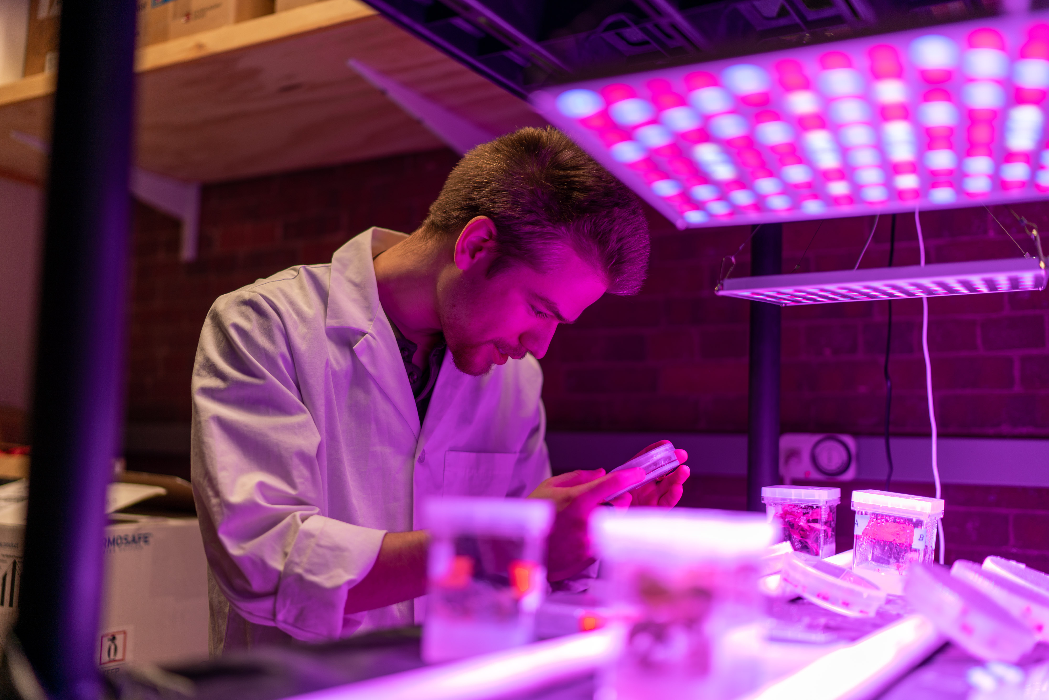 Biological sciences student in the lab