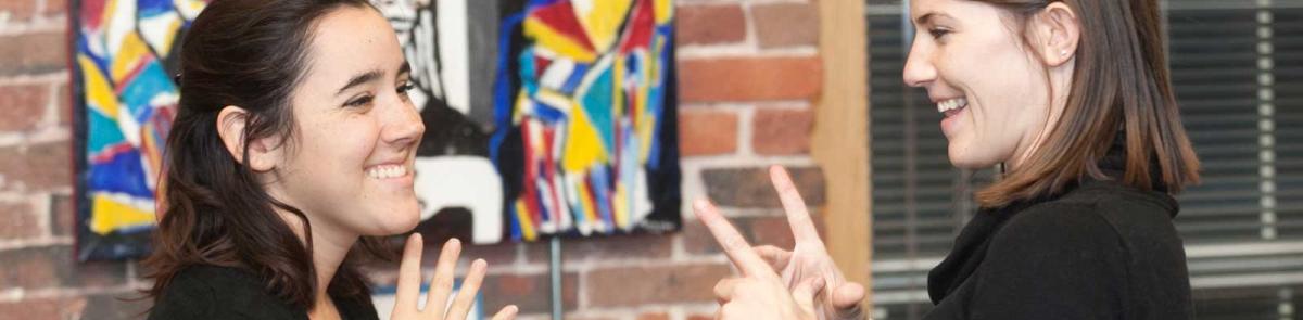 minor deafstudies