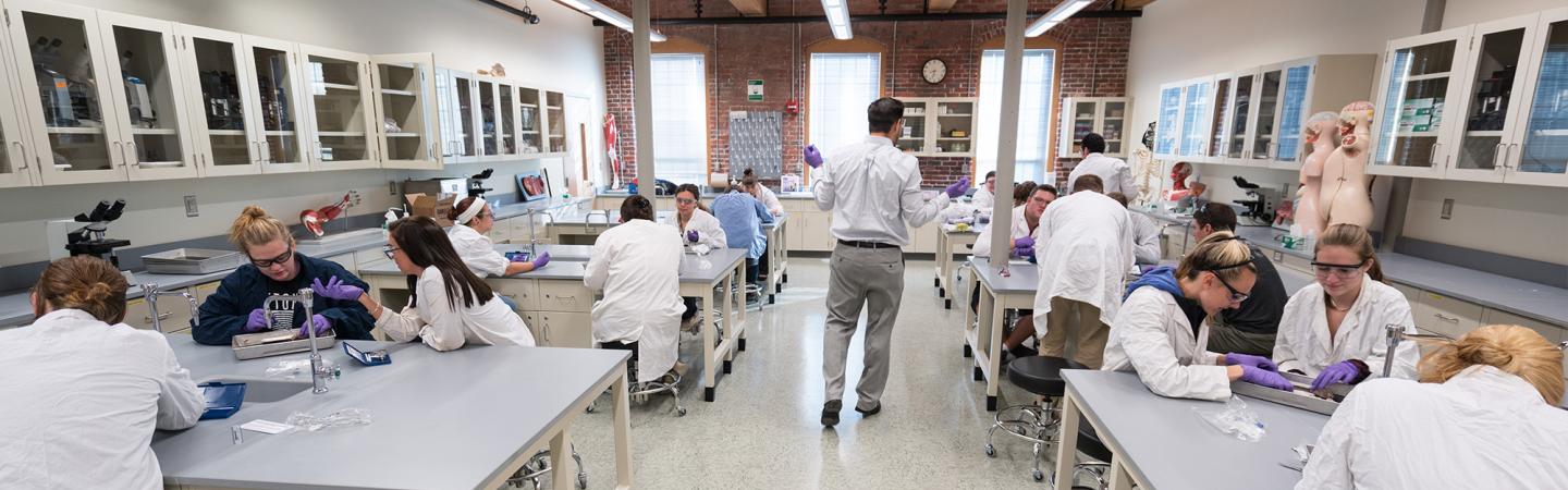 laboratory