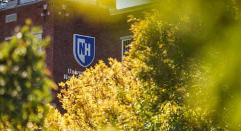 UNH Manchester fall leaves