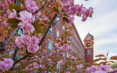 UNH Manchester building in spring time