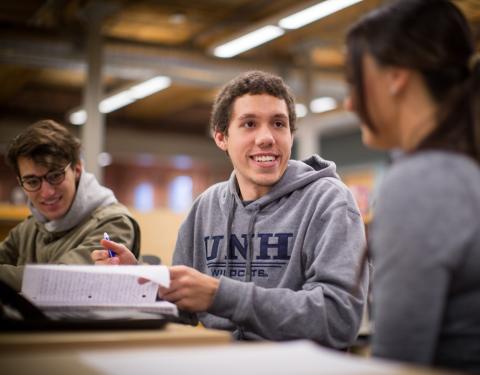 grad students studying together 