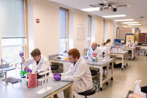 Students in the biotechnology lab at UNH Manchester