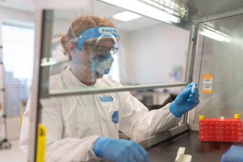 Biotechnology major Ethan Edwards '23 processes nasal swabs in UNH Manchester's&nbsp;on-campus COVID&nbsp;testing lab.