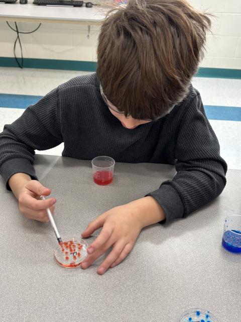 A child using a syringe to drip a red solution into another solution in a Petri dish, creating colorful spheres.