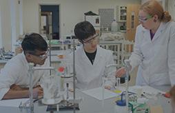 Bio Majorsheet