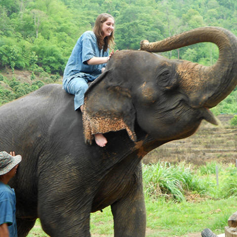 Young person in jeans riding on an elephant